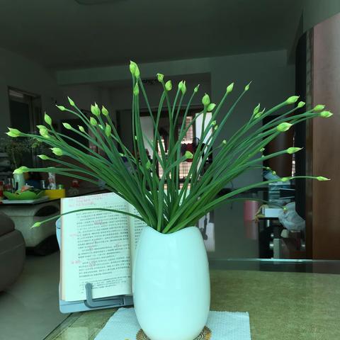 学插花学拍摄