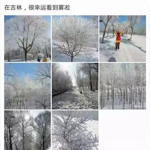 吉林雾凇、雪乡旅游