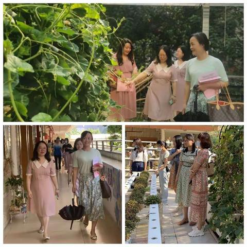 中期汇报展成效 专家指导再续航