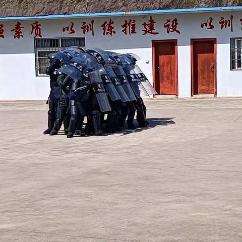 春训淬精兵，特警铸忠诚