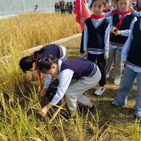 在研学中劳动，在劳动中体验，在体验中感恩