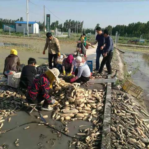 【章丘第一书记动态】白云湖街道第54期：利用好村集体产业助力群众脱贫