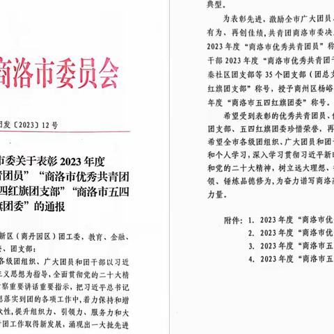 喜报！商洛市税务系统6个集体、10名个人获团市委荣誉表彰