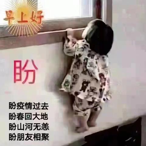 毅然坚守严把防控关，扎实推进工作不松懈