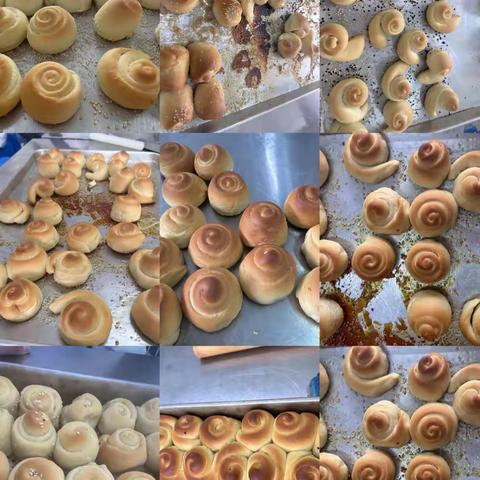 为技能精进育新人