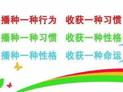 种下好习惯，收获更美的未来！———平城区十一校一四班常规展示记录