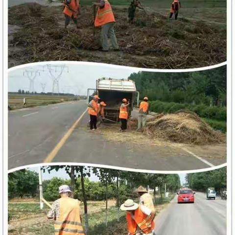 6月16日渔沃办事处环卫一体化工作纪实