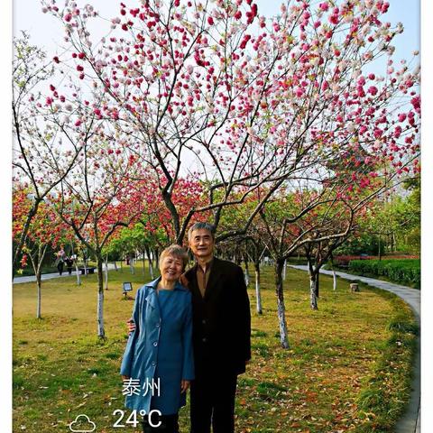 凤.兰游三水.桃园