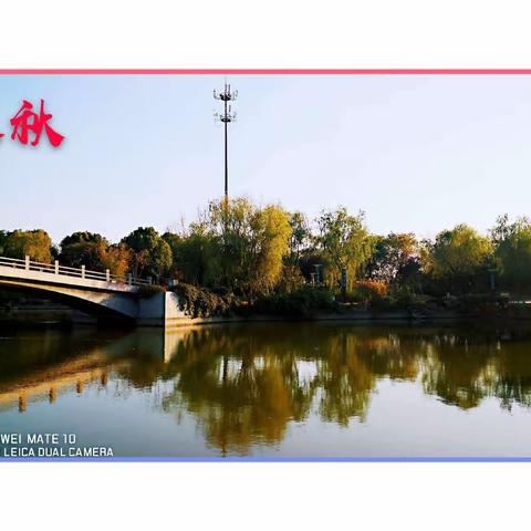 秋天的浪漫情怀