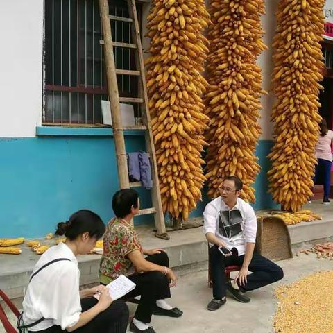 精准扶贫 我们在行动