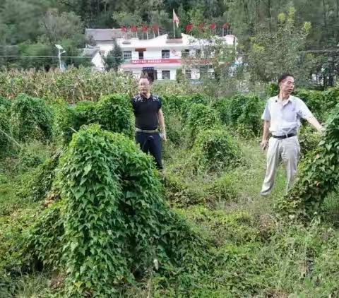 县编办扎实开展脱贫攻坚工作