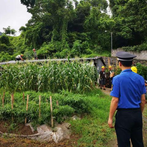【仰义中队】以“零容忍”态度第一时间拆除新建违建