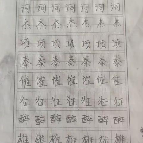 书写汉字之美,笔墨飘香校园（副本）