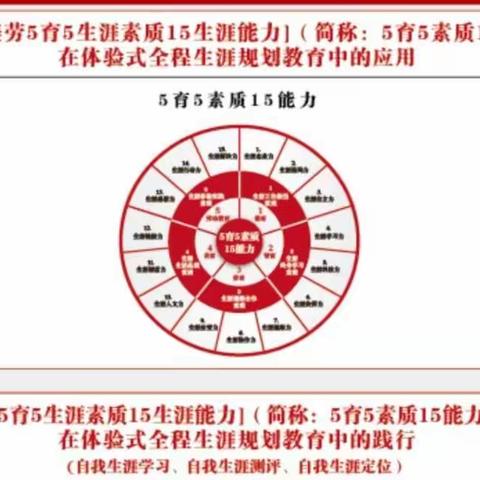 齐市朝鲜族学校“5育5素质15能力”测评活动实录