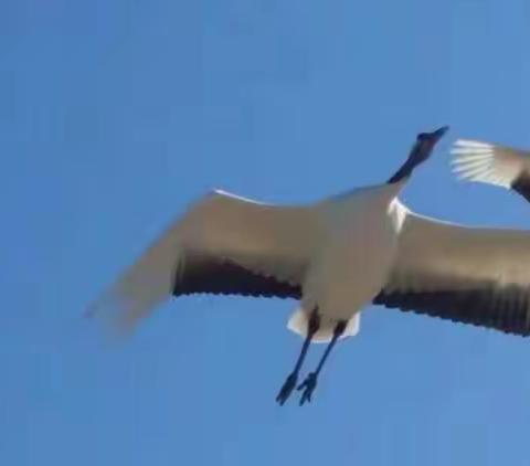 看看大自然和城市