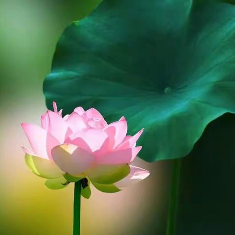 学圣达真的美篇