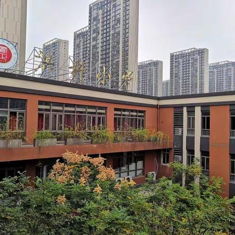 秋日赞洪科，运动展风采——洪科小学值周（周五）分享