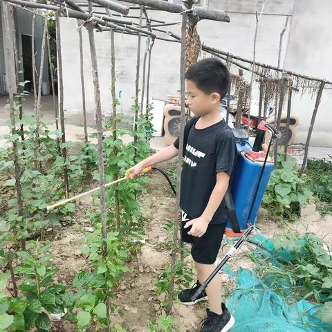 我是池阳小学三年级二班学生王梓皓！我正在参加“童心向党礼赞百年”主题微实践“做一做”活动！