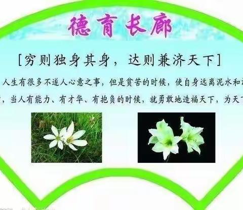 “花开有声，以德育人”——济阳街道中心小学开展德育教育活动