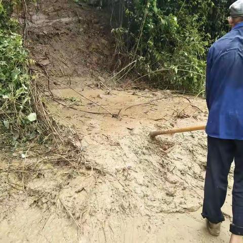 花岭村2019年8月6日晚上下暴雨过后的花岭村，花岭村的党员群众自发组织清理道路及暴雨后的残留。