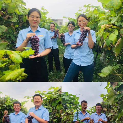 “喜迎中秋同赏月 丹桂飘香共团圆 ”——河南郏县项目部中秋节系列活动