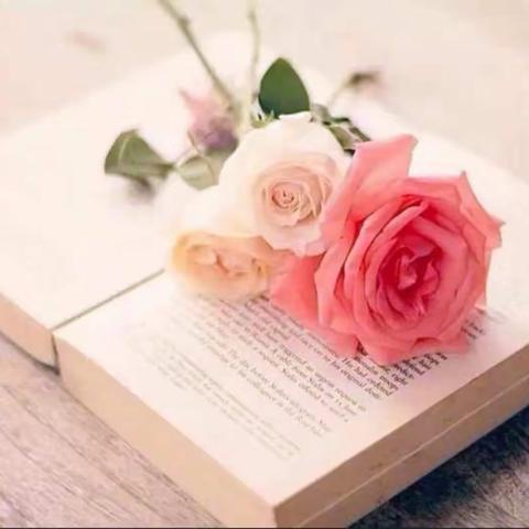 市直中学七年级语文组——最是书香能致远，腹有诗书气自华