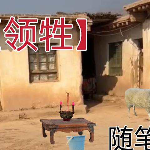 【童年记忆:领牲】随笔