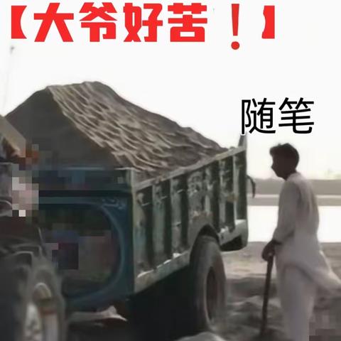 【大爷好苦哇】 随笔