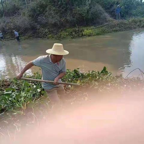 赤坎村抗旱进行时