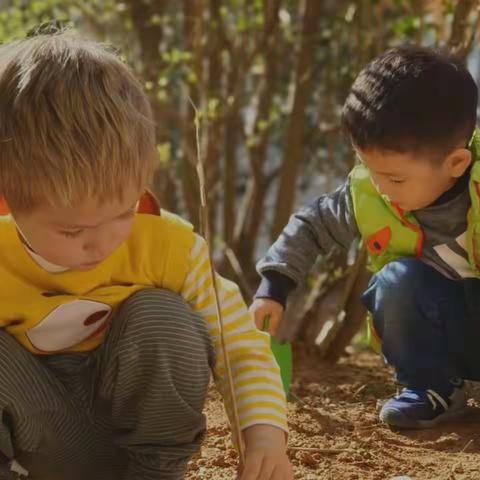 “种”在春天🌱，“植”得期待🌻——康桥颐东幼儿园苗二班“小种子计划”植树节活动