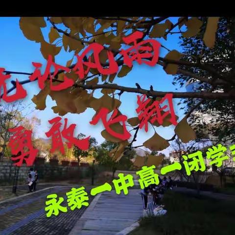 无论风雨  勇敢飞翔