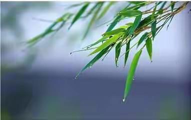 诗词中的雨，你更喜欢哪一种？