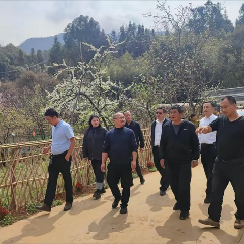 小街镇人大代表“三步工作法” 擦亮生态环保“底色”