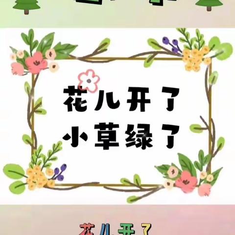 小一班🍀添一点绿色、多一份美好🍀