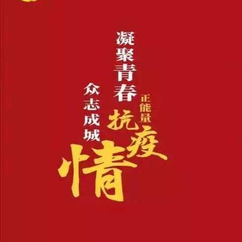 战”疫“打响  共克时艰  西电团员青年在行动！