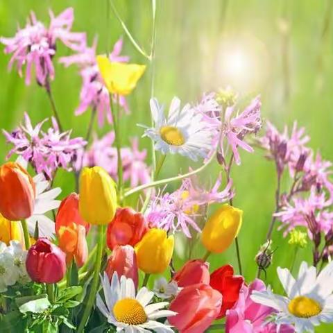 闹也不争春，只把春来报（二年级语文教研活动纪实）