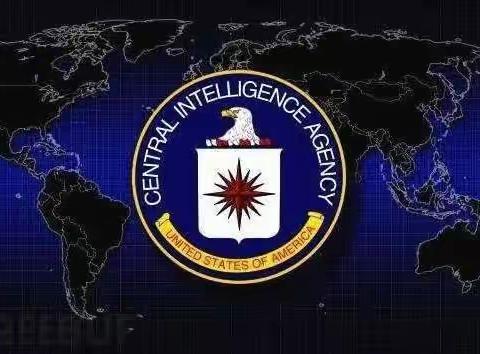 中情局的失误