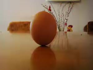 今天---“秋分”，是生鸡蛋一年中最精神的一天