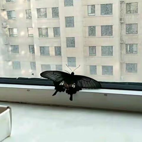 宅出新效率，我们在行动