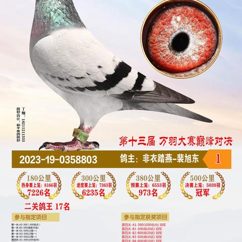 2023年恒通赛鸽公棚决赛获奖1-100名