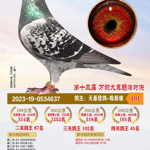 2023年恒通赛鸽公棚决赛获奖101-200名
