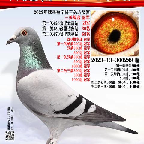 2023年秋季霞浦信鸽协会三关大奖赛1-111名