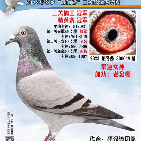 2023年厦门市信鸽协会三关鸽王1-30名