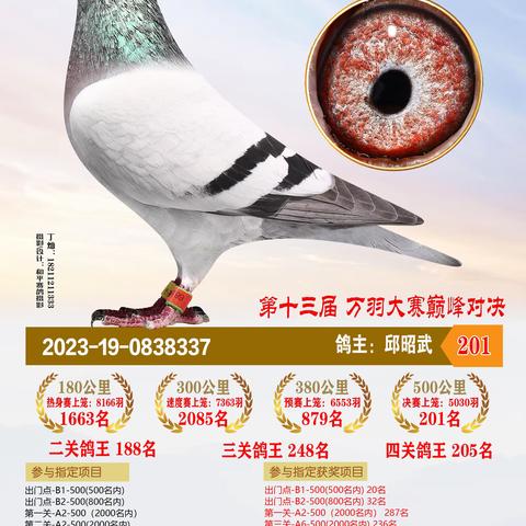 2023年恒通赛鸽公棚决赛获奖201-300名