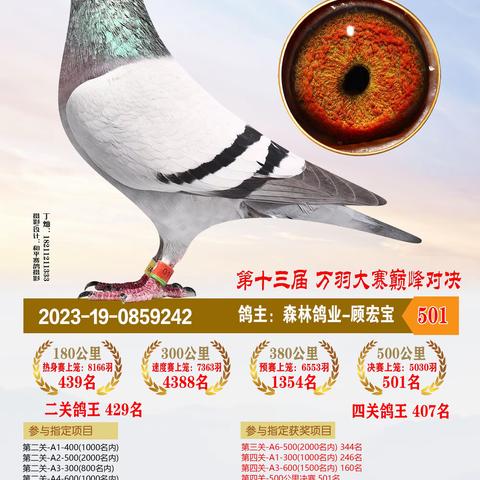 2023年恒通赛鸽公棚决赛获奖501-600名
