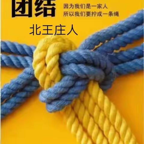 陶泉乡北王庄村坚守磁县西大门。为党为民阻击病毒党旗飘！