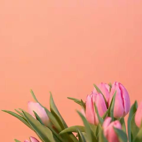 春暖花开季，浓情女神节