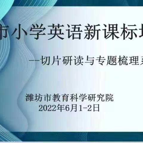 学习新课标，教学有方向——圣城中学小学英语新课标培训学习活动