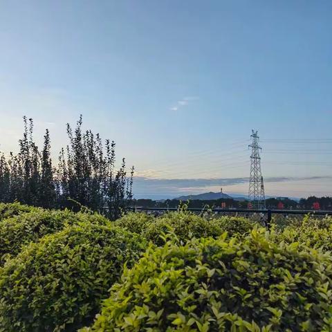 中国农民丰收节山西主会场   （忻州）活动小记    忻州六中410班  李家珺