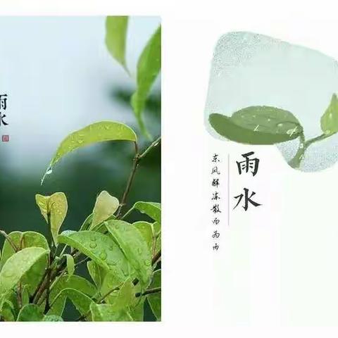 雨水至，万物生——二十四节气之雨水